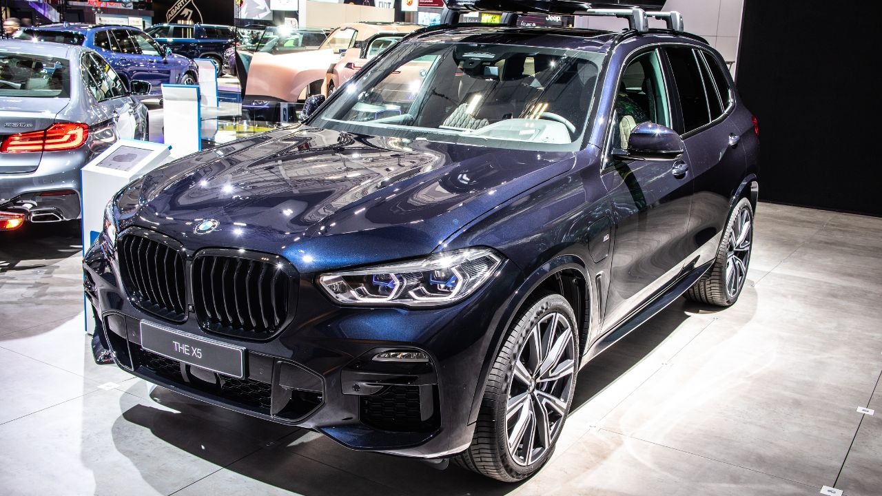 Image Credit: Grzegorz Czapski / Shutterstock.com