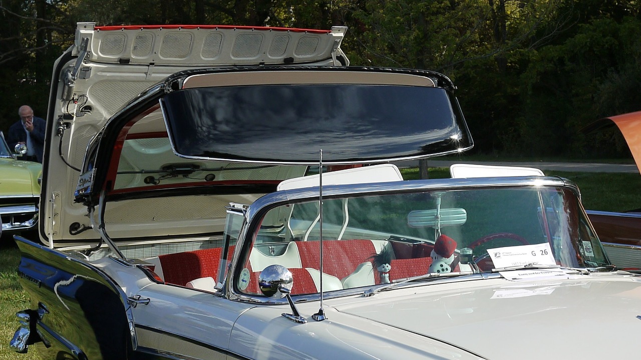 Image Credit: F. D. Richards from Clinton, MI - CC BY-SA 2.0/Wiki Commons