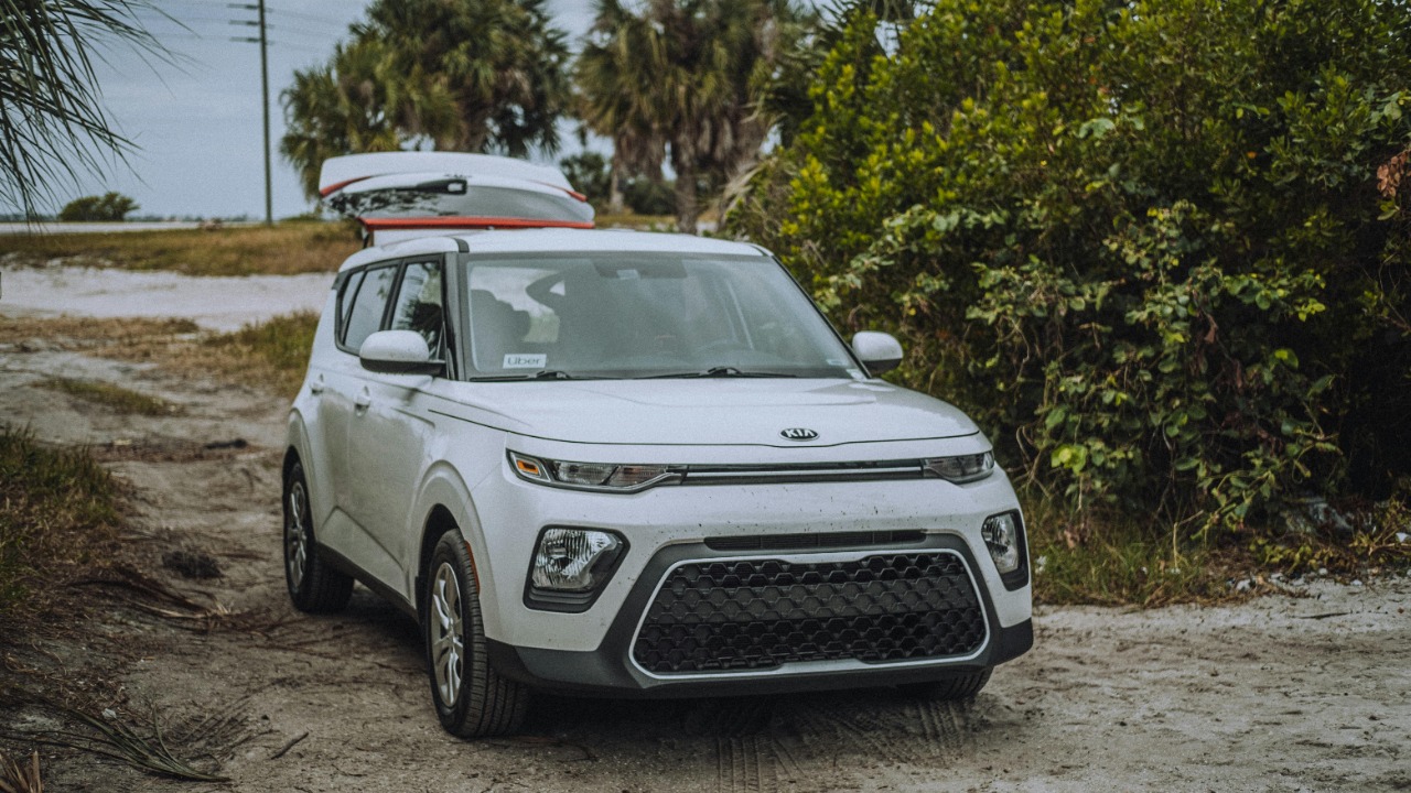 Connor Scott McManus/Pexels