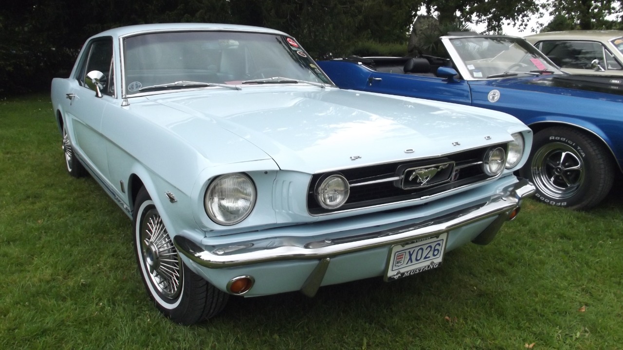 Image Credit: Handelsgeselschaft - CC BY-SA 4.0/Wiki Commons