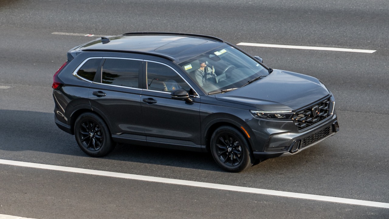 Image Credit: OWS Photography - CC BY 4.0/Wiki Commons