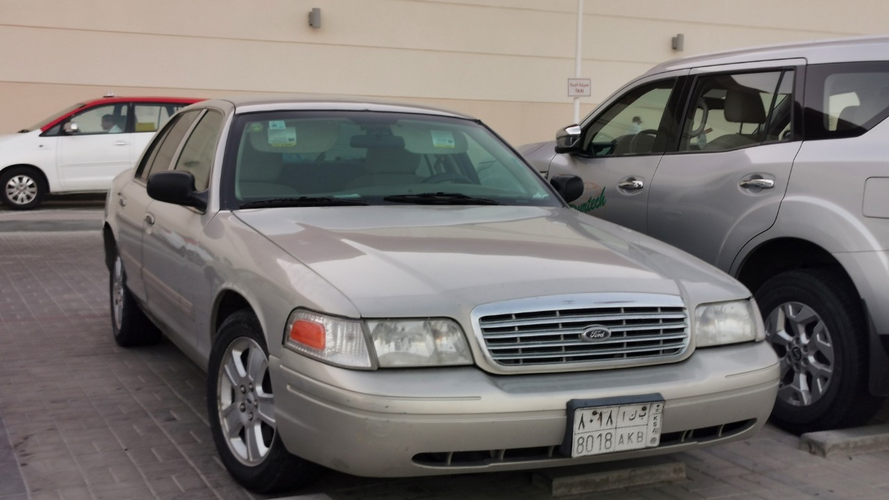 Image Credit: Mohammed Hamad – CC BY-SA 4.0/Wiki Commons
