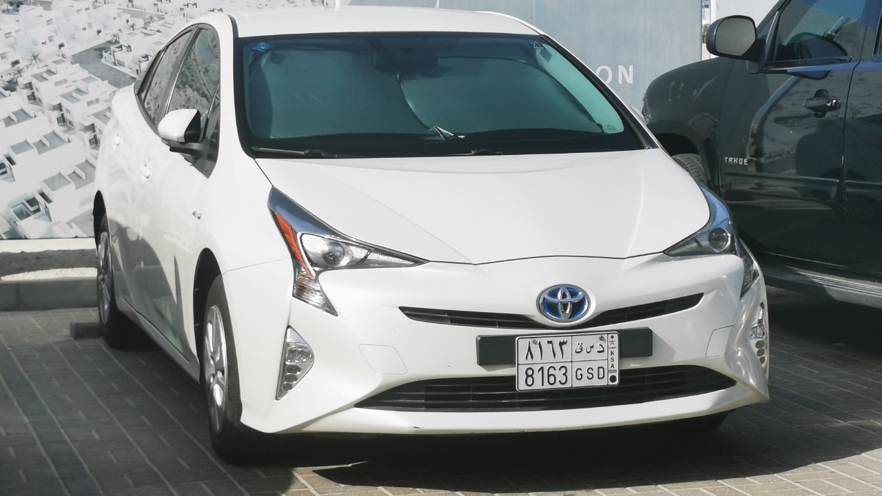 Image Credit: Mohammed Hamad - CC BY-SA 4.0/Wiki Commons