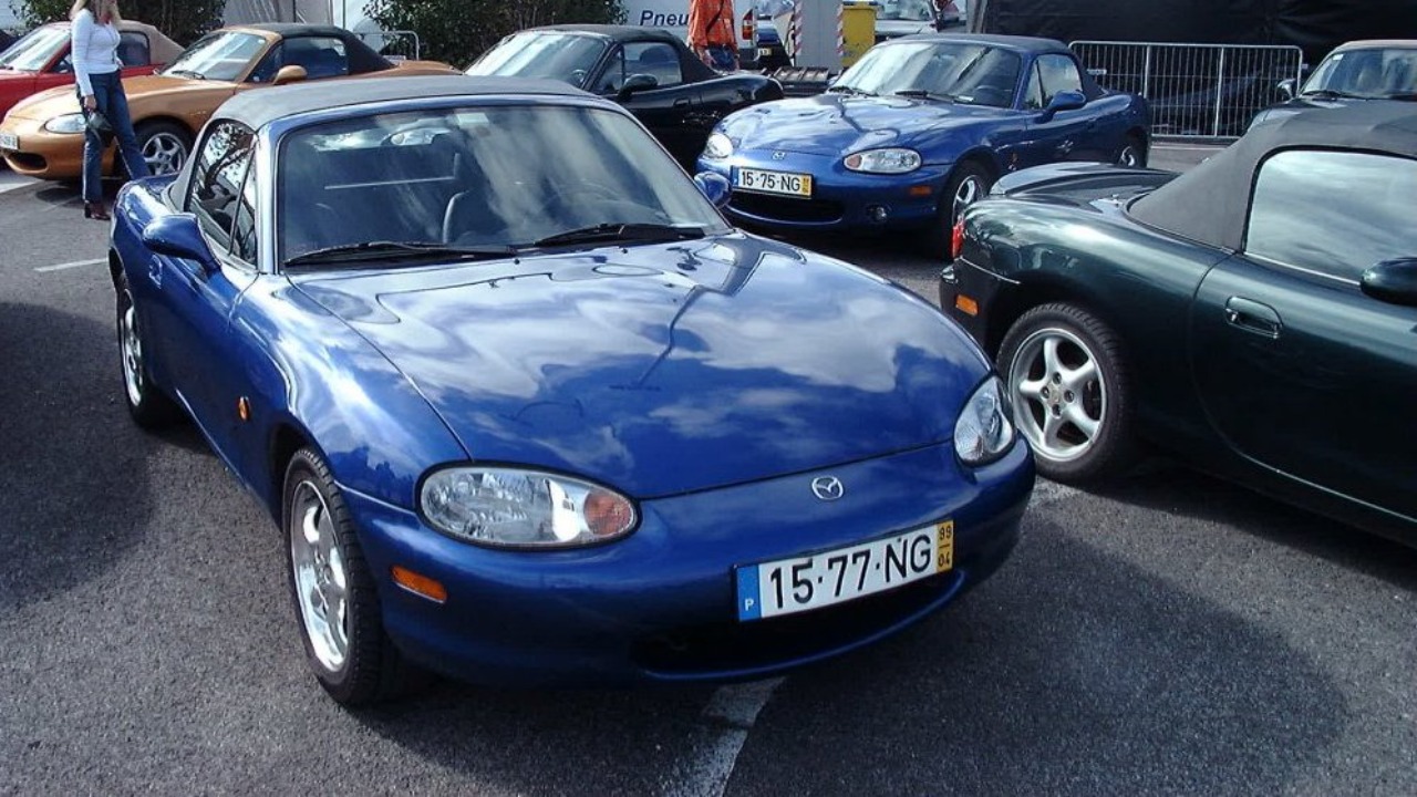 Image Credit: User Mafmafmaf on en.wikipedia - CC BY 2.5/Wiki Commons