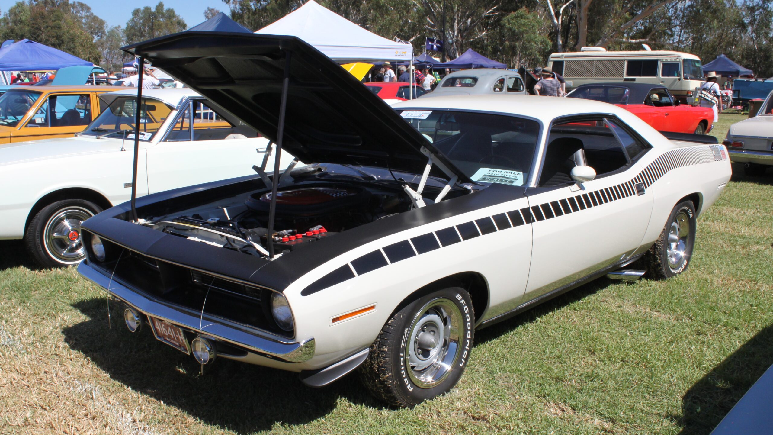 A handful of these Mopar muscle cars slipped out and became legends