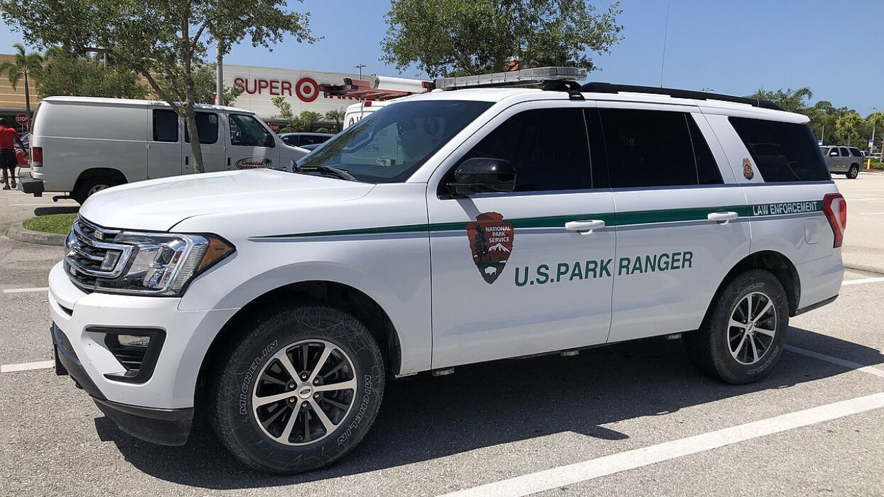 2020 Ford Expedition
