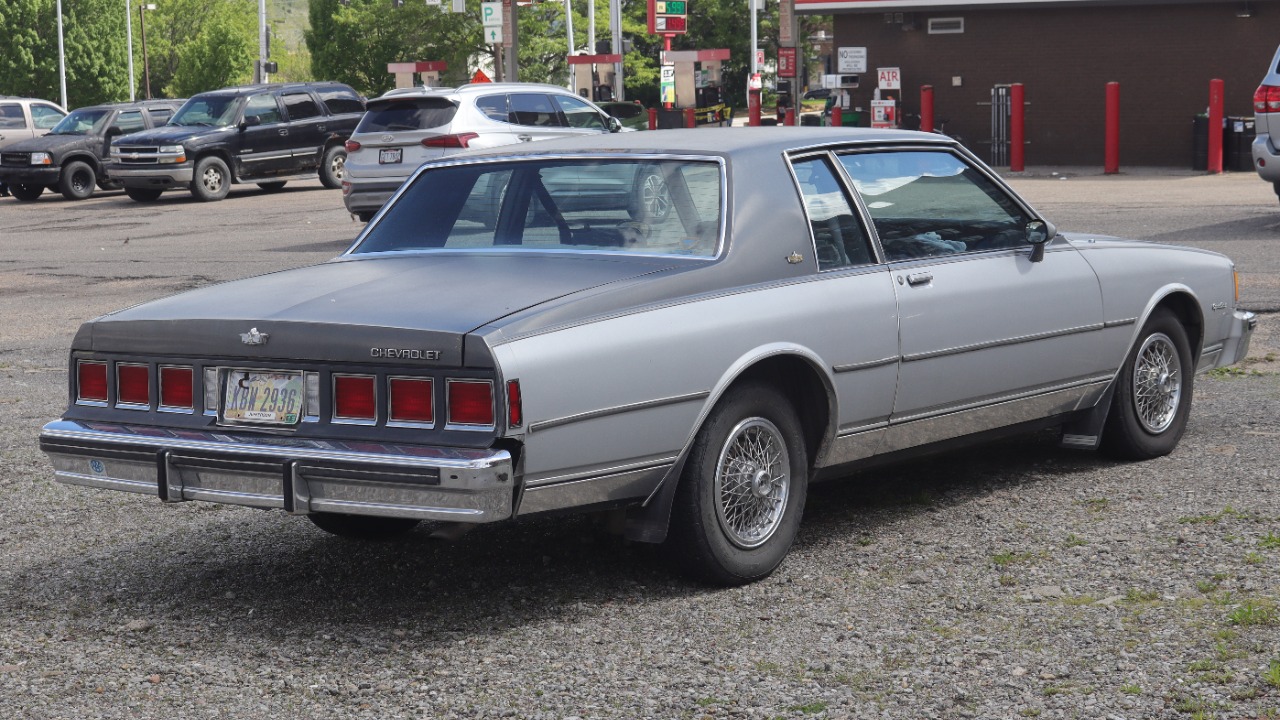Image Credit: Cutlass - CC0/Wiki Commons