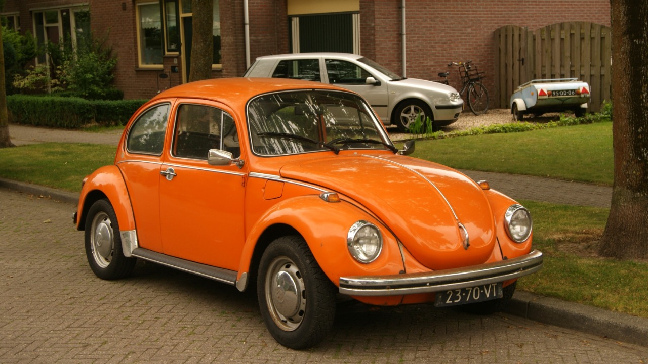 Image Credit: Niels de Wit from Lunteren, The Netherlands - CC BY 2.0/Wiki Commons
