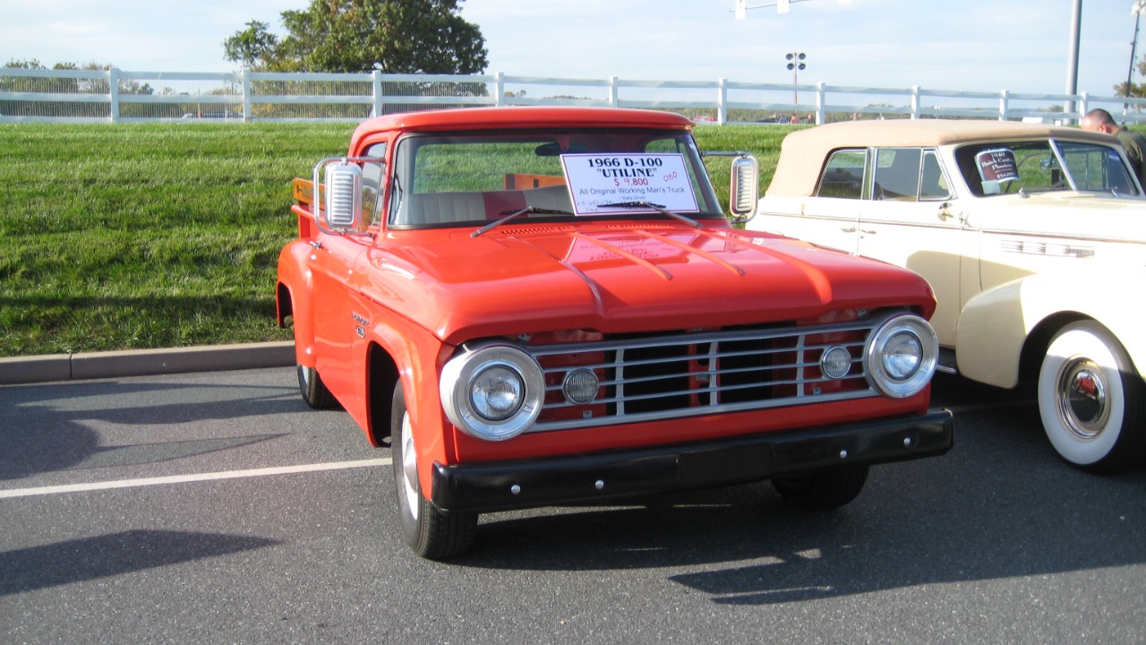 Image Credit: JOHN LLOYD from Concrete, Washington, United States - CC BY 2.0/Wiki Commons