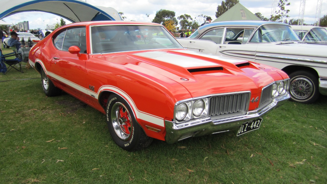Underrated muscle that only enthusiasts fully appreciate