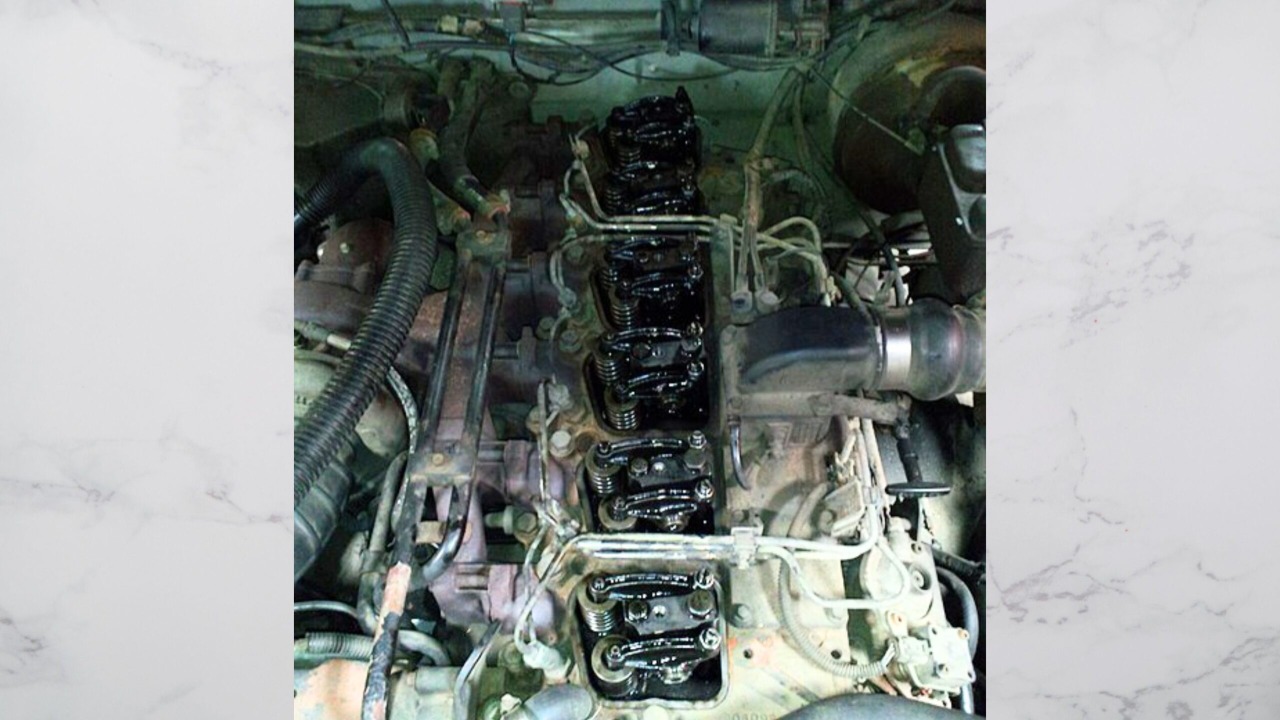 Image Credit: Dana60Cummins – Own work, via https://en.wikipedia.org/, CC BY-SA 3.0

