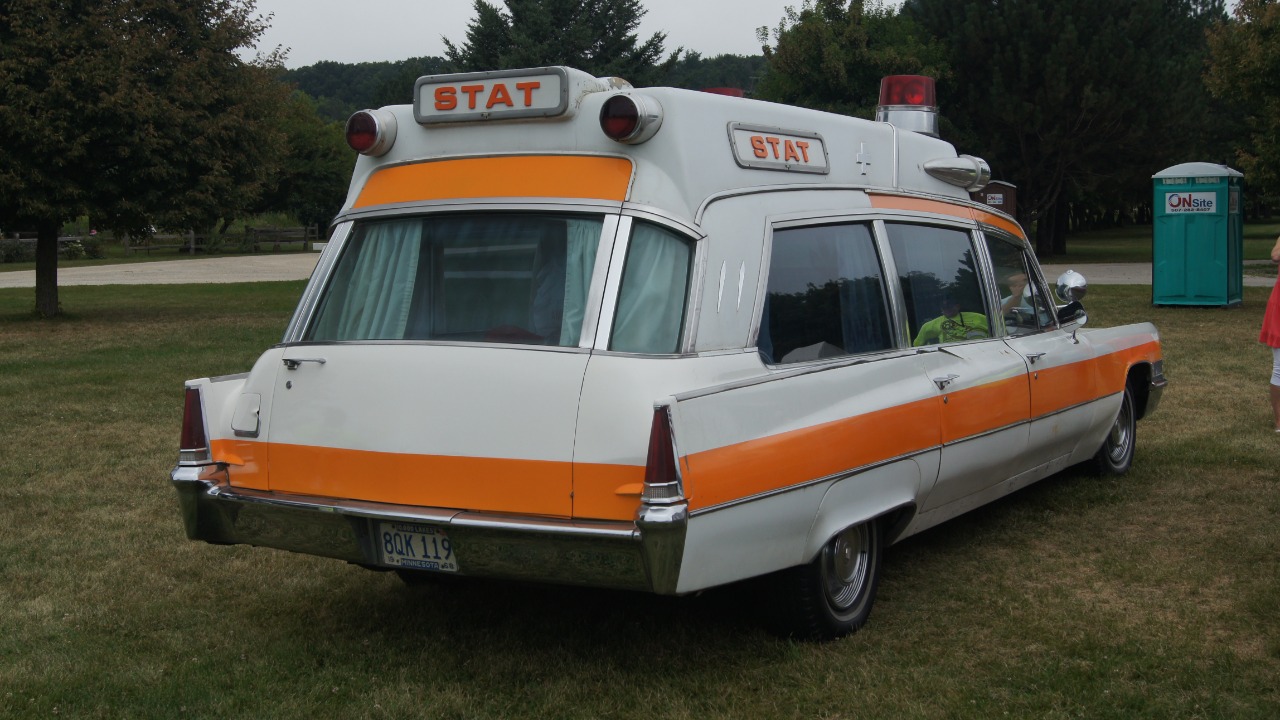 Image Credit: Greg Gjerdingen from Willmar, USA - CC BY 2.0/Wiki Commons
