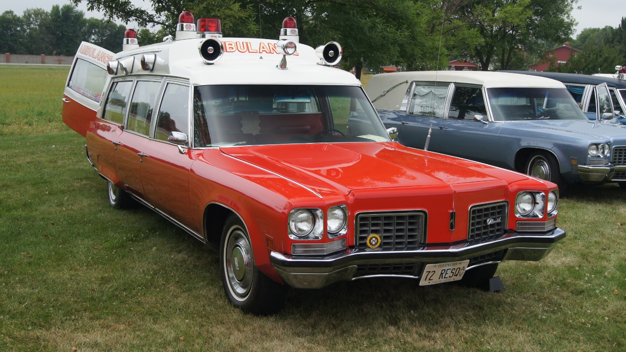 Image Credit: Greg Gjerdingen from Willmar, USA - CC BY 2.0/Wiki Commons