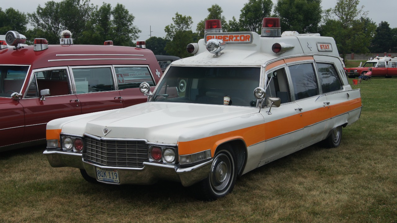 Image Credit: Greg Gjerdingen from Willmar, USA - CC BY 2.0/Wiki Commons