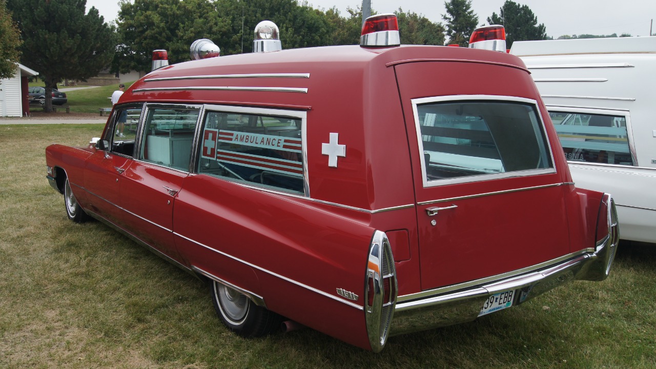 Image Credit: Greg Gjerdingen from Willmar, USA - CC BY 2.0/Wiki Commons