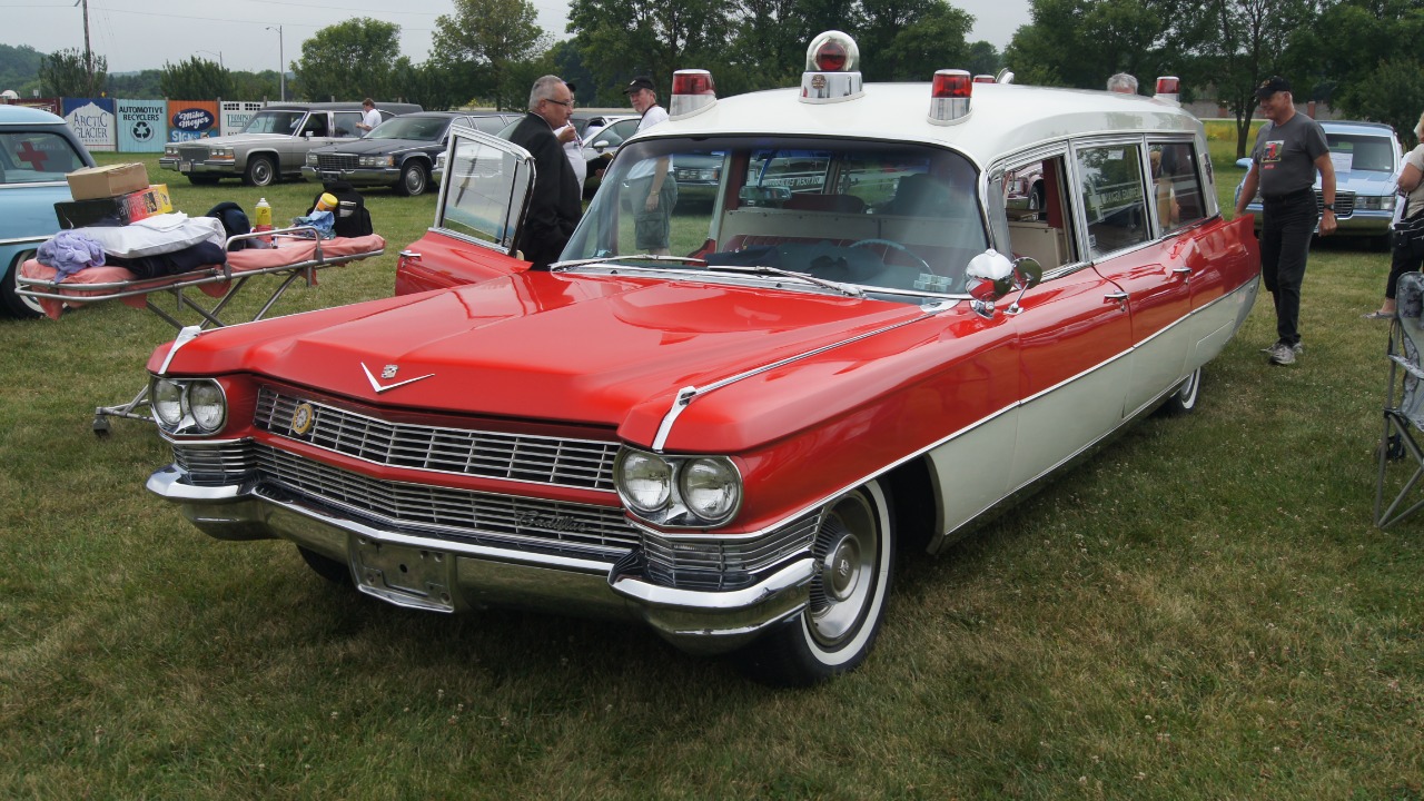 Image Credit: Greg Gjerdingen from Willmar, USA - CC BY 2.0/Wiki Commons