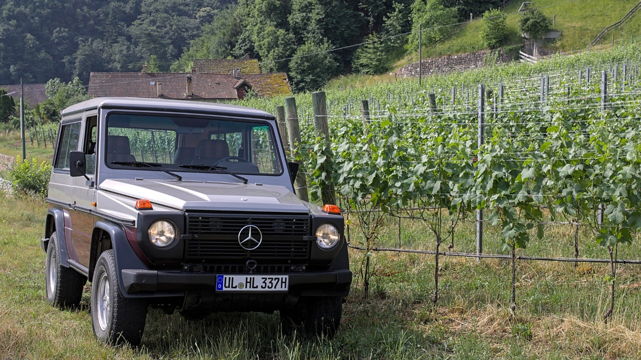 A Mercedes-Benz W460 250 GD