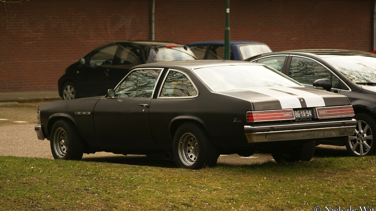 1975 Buick Skylark coupe